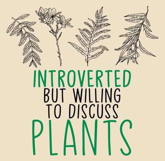 Introverted but willing to discuss plants