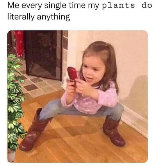 me every single time my plants do literally anything 📸