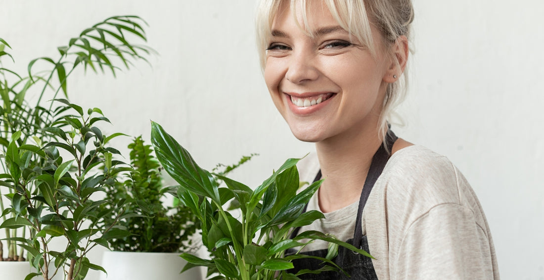 The Joy of Houseplants