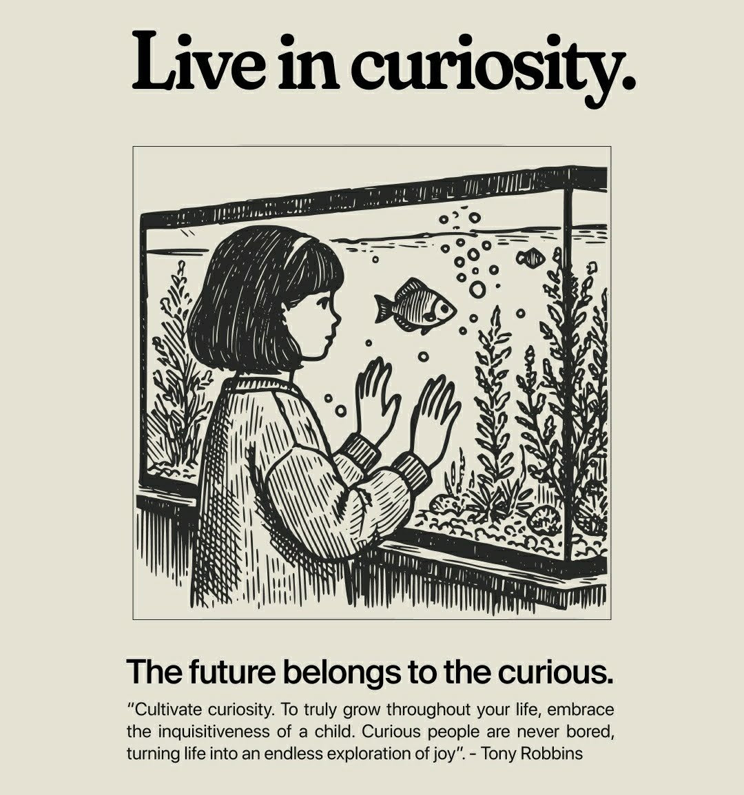 Live in curiosity.