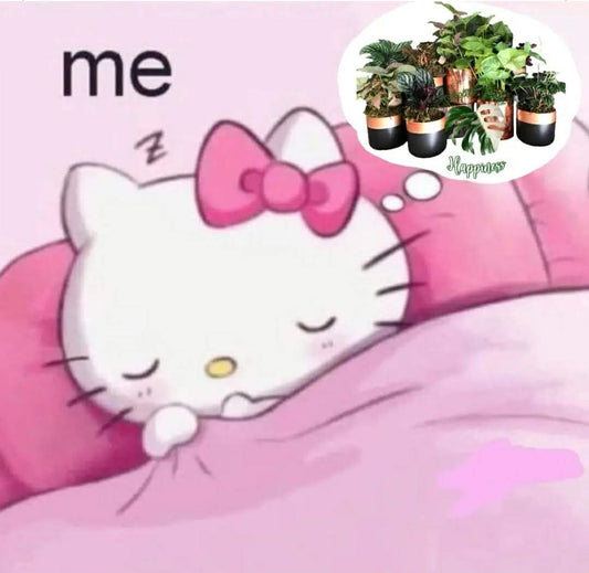 me [dreaming]