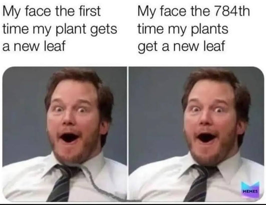 my face the first time my plants get a new leaf