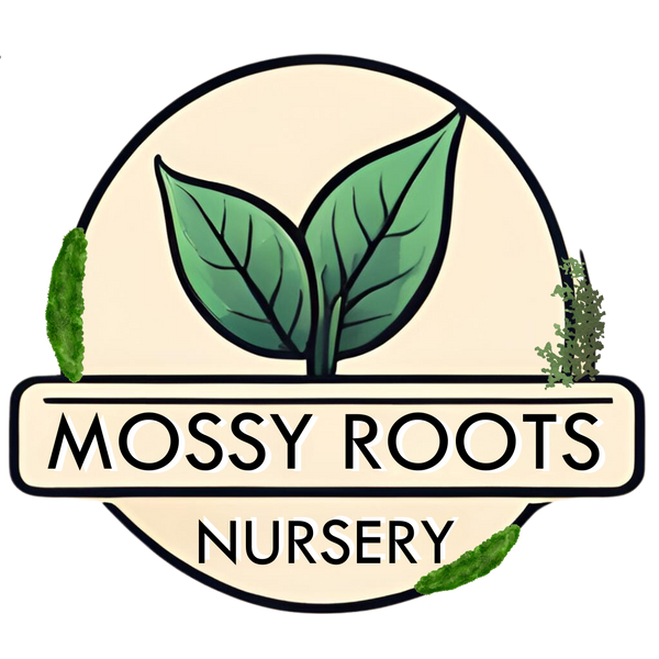 Mossy Roots Nursery